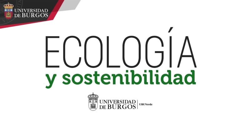Estándares de Edificios Ecológicos: Optimización y Conciencia Ambiental