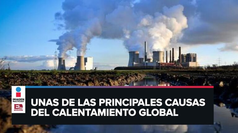 Reducción de emisiones de carbono en hogares: Estrategias eficientes