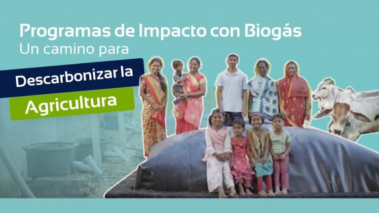 Construcción de casas ecológicas: una solución para la reducción de emisiones