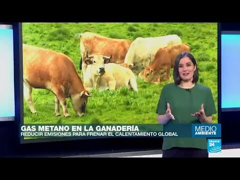 Soluciones eficientes para reducir emisiones en viviendas